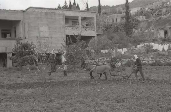 قرية المغار