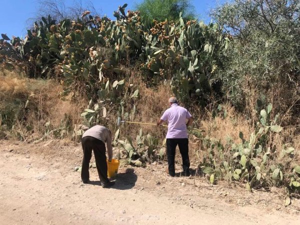  | موسوعة القرى الفلسطينية