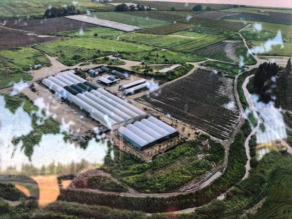  | موسوعة القرى الفلسطينية