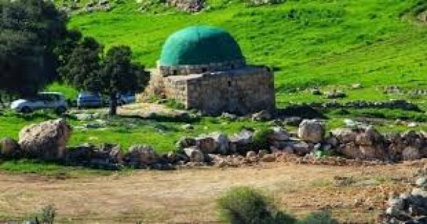 | موسوعة القرى الفلسطينية  | موسوعة القرى الفلسطينية
