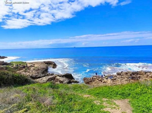  | موسوعة القرى الفلسطينية