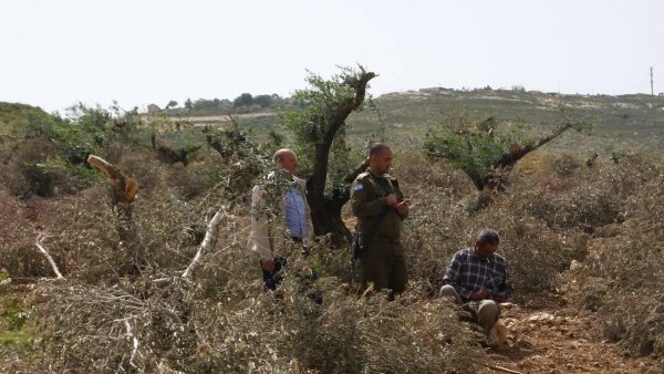 | موسوعة القرى الفلسطينية  | موسوعة القرى الفلسطينية
