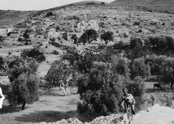 | موسوعة القرى الفلسطينية  | موسوعة القرى الفلسطينية