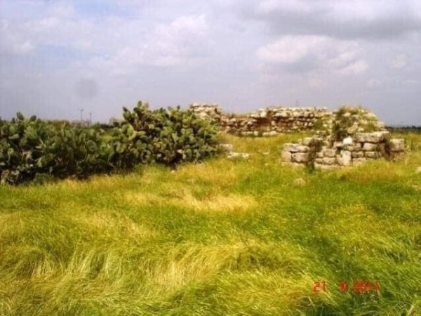  | موسوعة القرى الفلسطينية