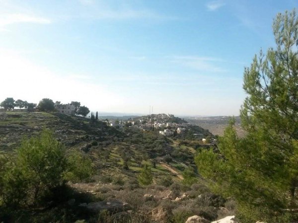  | موسوعة القرى الفلسطينية