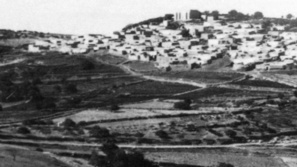 قرية الجش العامرة قضاء صفد سنة 1936 قرية الجش العامرة قضاء صفد سنة 1936