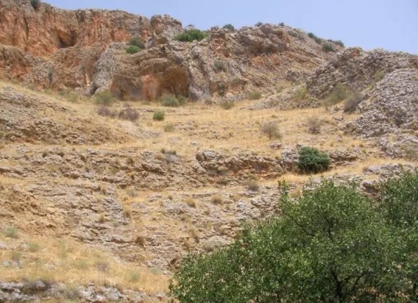  | موسوعة القرى الفلسطينية