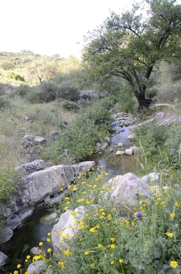  | موسوعة القرى الفلسطينية