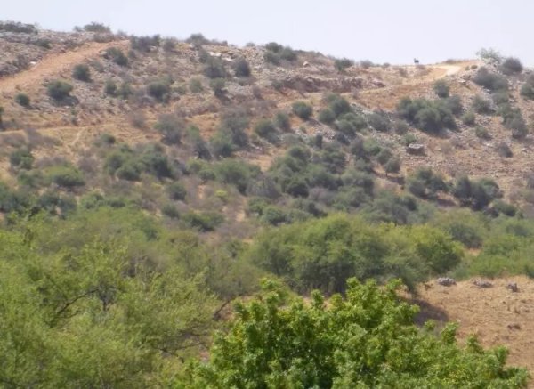  | موسوعة القرى الفلسطينية