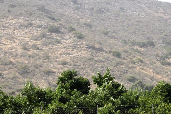  | موسوعة القرى الفلسطينية