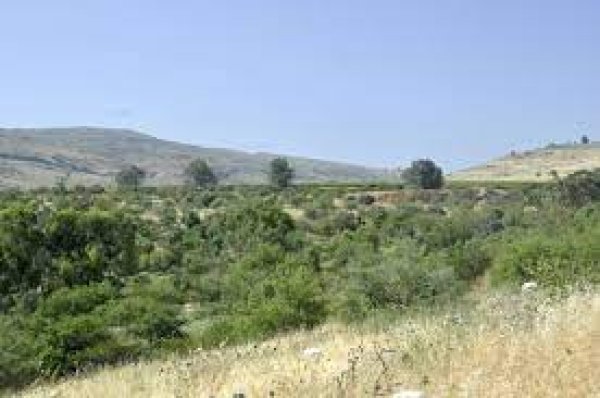  | موسوعة القرى الفلسطينية