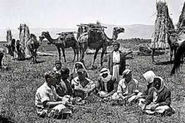 قرية الدوارة قرية الدوارة