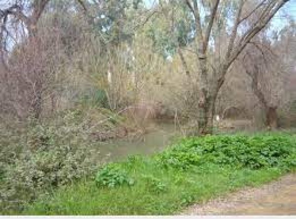 قرية الدوارة