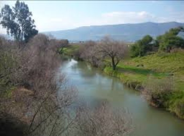 قرية الدوارة