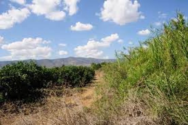 قرية الدوارة