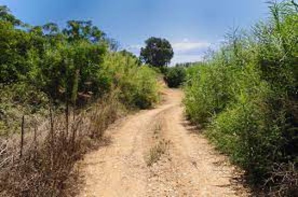 قرية الدوارة