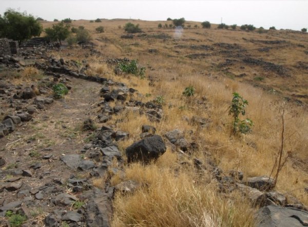  | موسوعة القرى الفلسطينية