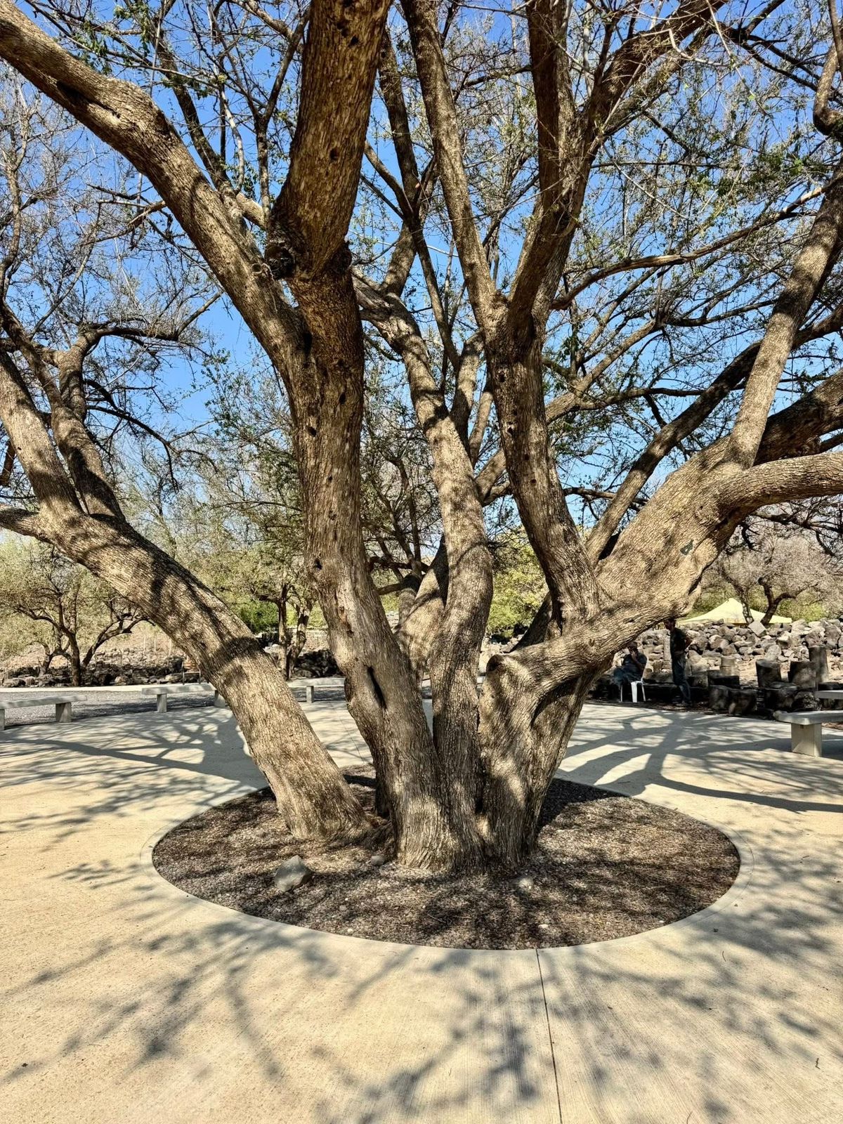 خربة كَرّازَة/ زَنْغَرِيَّة: بعدسة إبرتهيم أبو عمار