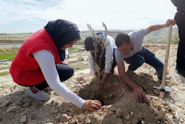 | موسوعة القرى الفلسطينية  | موسوعة القرى الفلسطينية