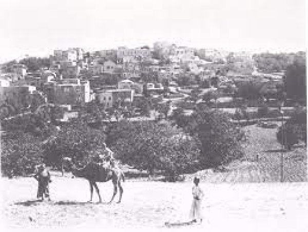 | موسوعة القرى الفلسطينية  | موسوعة القرى الفلسطينية