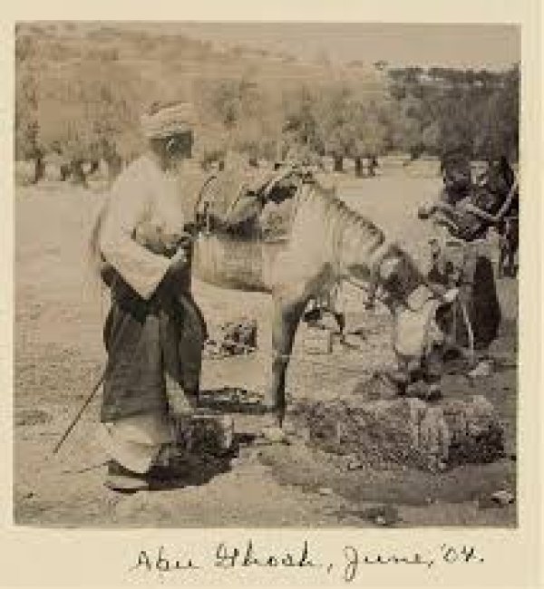 | موسوعة القرى الفلسطينية  | موسوعة القرى الفلسطينية
