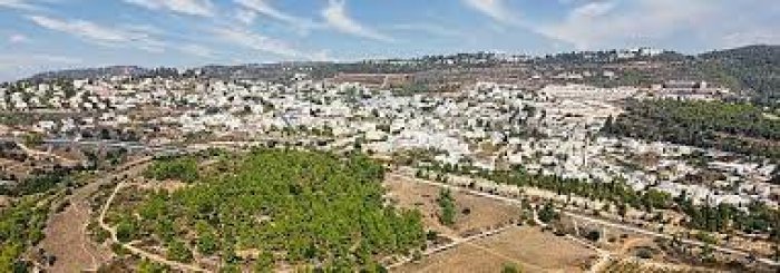 أبو غوش / قرية العنب  | موسوعة القرى الفلسطينية