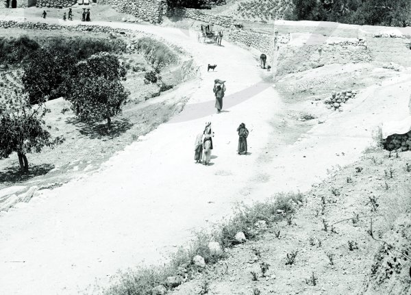  | موسوعة القرى الفلسطينية