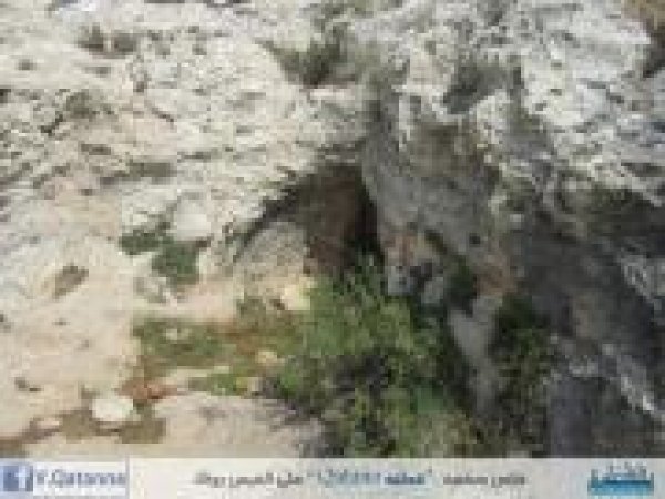 | موسوعة القرى الفلسطينية  | موسوعة القرى الفلسطينية