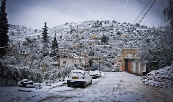 | موسوعة القرى الفلسطينية  | موسوعة القرى الفلسطينية