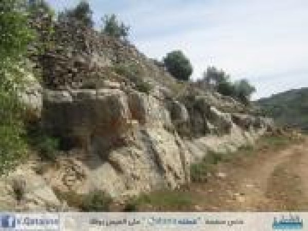 | موسوعة القرى الفلسطينية  | موسوعة القرى الفلسطينية