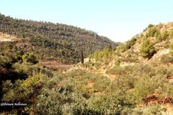 | موسوعة القرى الفلسطينية  | موسوعة القرى الفلسطينية