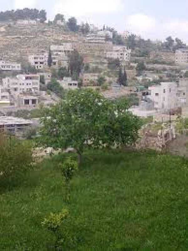 | موسوعة القرى الفلسطينية  | موسوعة القرى الفلسطينية