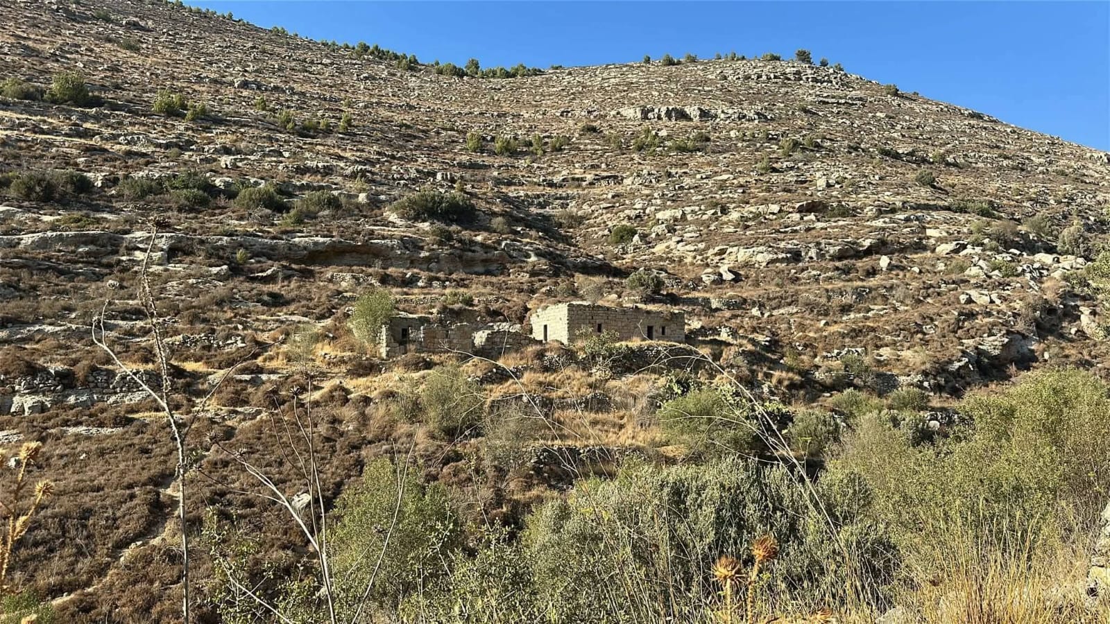 | موسوعة القرى الفلسطينية  | موسوعة القرى الفلسطينية