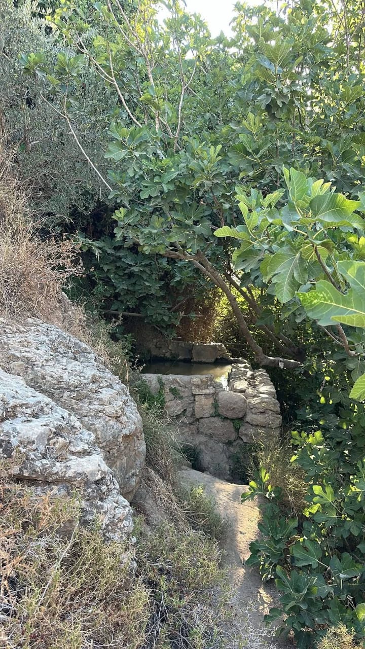 | موسوعة القرى الفلسطينية  | موسوعة القرى الفلسطينية