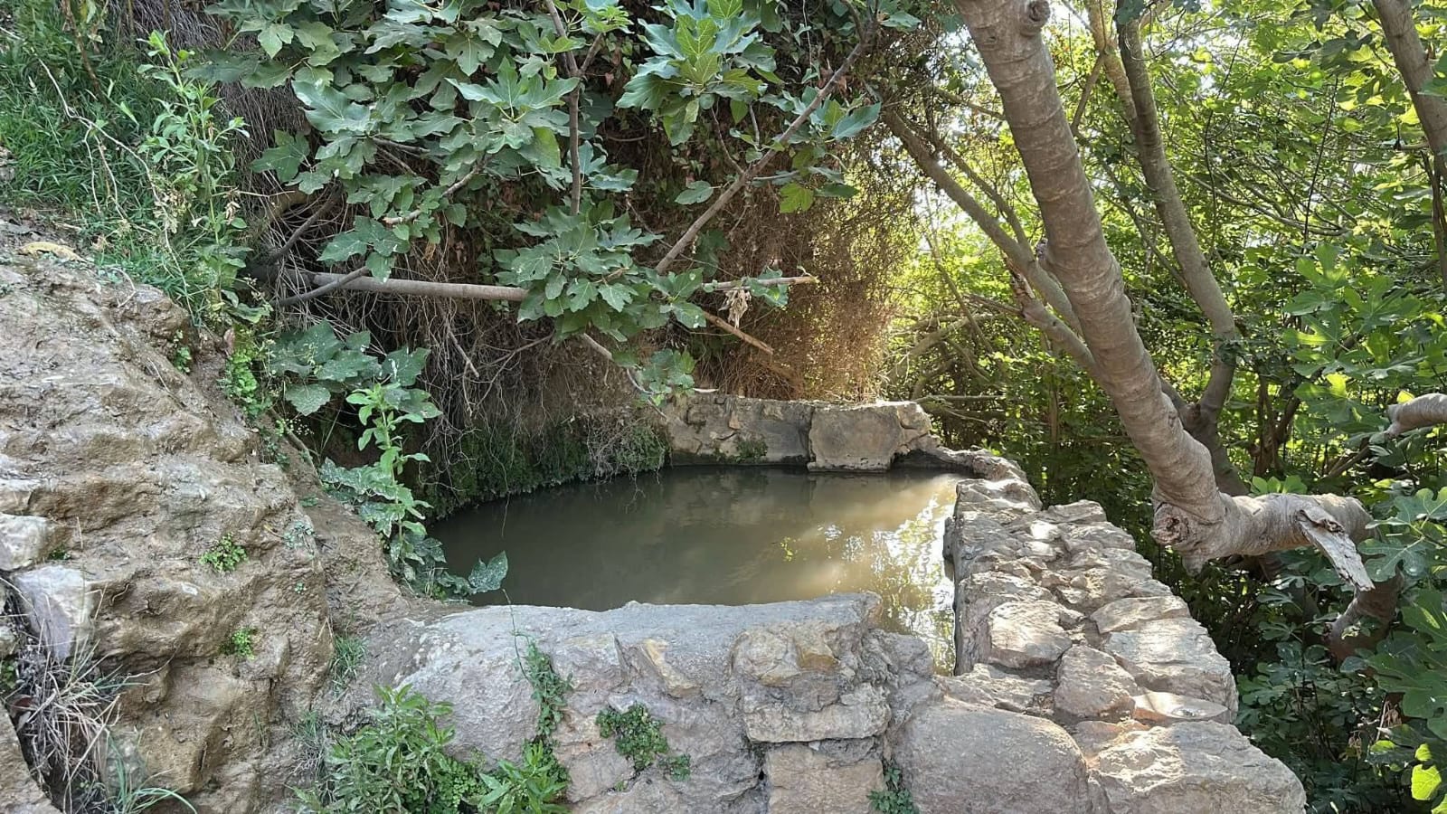 | موسوعة القرى الفلسطينية  | موسوعة القرى الفلسطينية