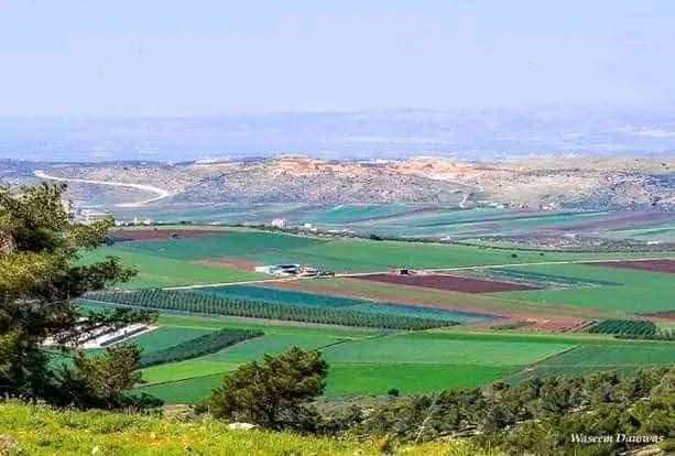 | موسوعة القرى الفلسطينية  | موسوعة القرى الفلسطينية