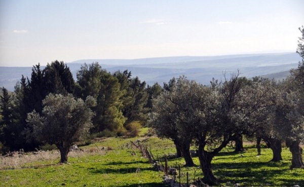  | موسوعة القرى الفلسطينية