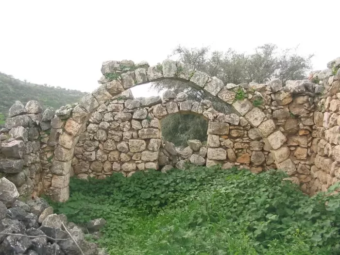 القُدَيّرِيّة/ النُويَّرِيّة  | موسوعة القرى الفلسطينية