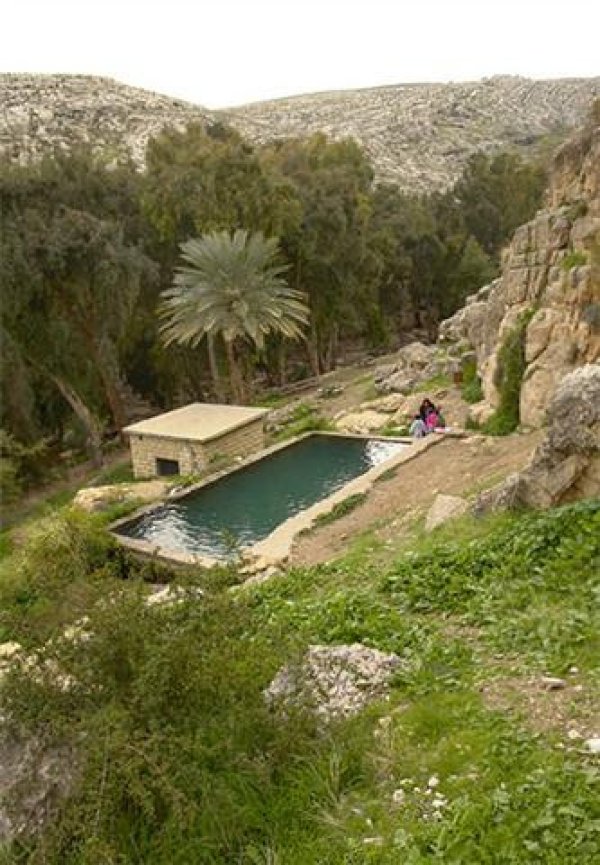  | موسوعة القرى الفلسطينية