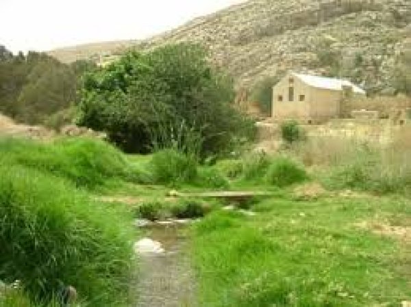  | موسوعة القرى الفلسطينية