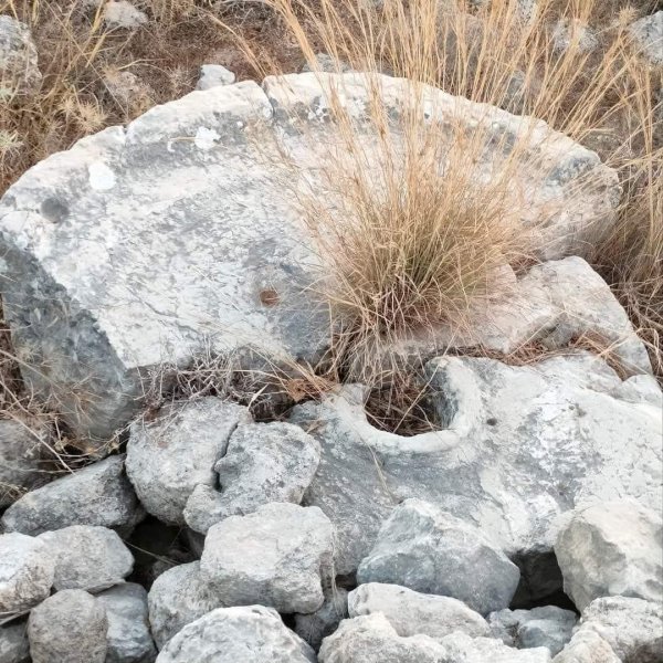  | موسوعة القرى الفلسطينية