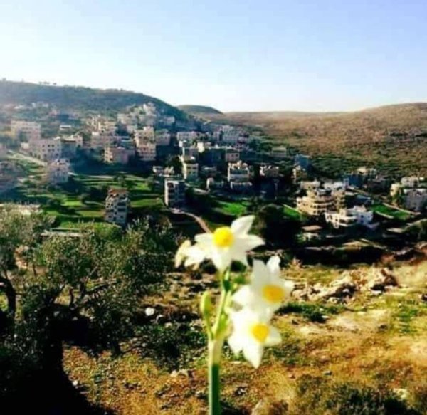 | موسوعة القرى الفلسطينية  | موسوعة القرى الفلسطينية