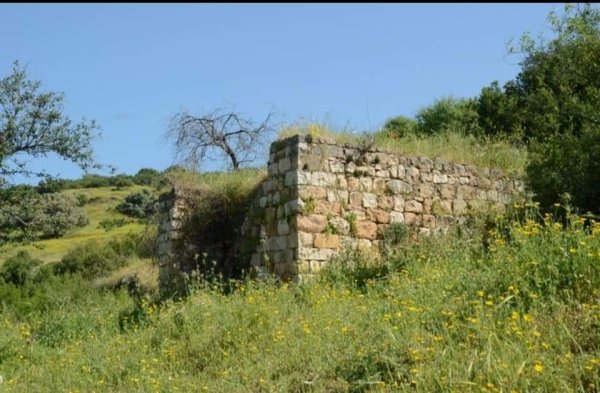 قرية الشونة بعدسة: فادي اغبارية