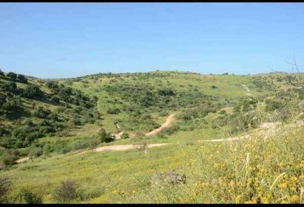 قرية الشونة بعدسة: فادي اغبارية