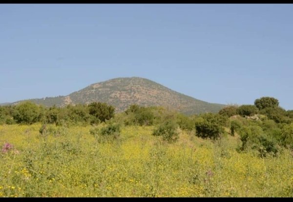 قرية الشونة بعدسة: فادي اغبارية