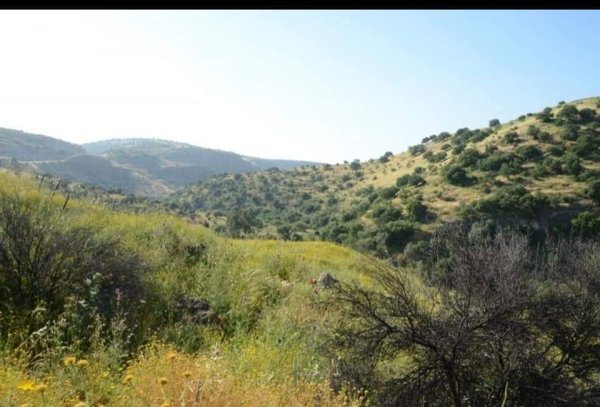 قرية الشونة بعدسة: فادي اغبارية