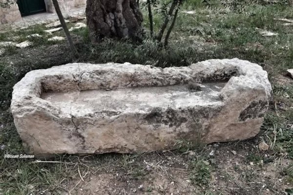 | موسوعة القرى الفلسطينية  | موسوعة القرى الفلسطينية