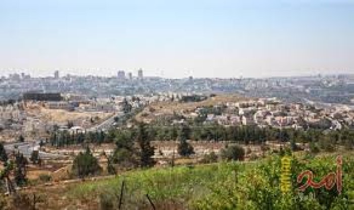 الجديرة  | موسوعة القرى الفلسطينية