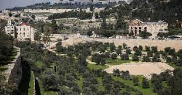 | موسوعة القرى الفلسطينية  | موسوعة القرى الفلسطينية