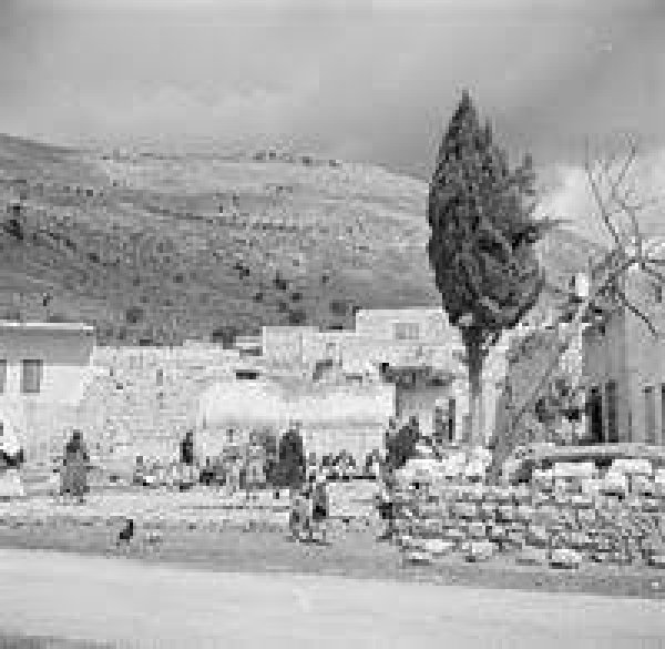 | موسوعة القرى الفلسطينية  | موسوعة القرى الفلسطينية